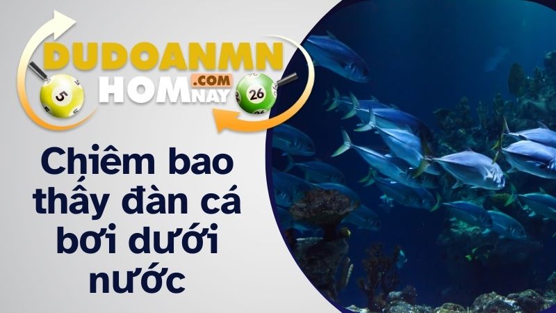 Chiêm bao thấy đàn cá bơi dưới nước