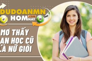 Mơ thấy bạn học cũ đánh con gì? – Ý nghĩa của giấc mơ là gì?