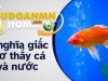 Nằm mơ thấy cá và nước có phải điềm báo tốt lành hay không?