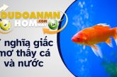 Nằm mơ thấy cá và nước có phải điềm báo tốt lành hay không?