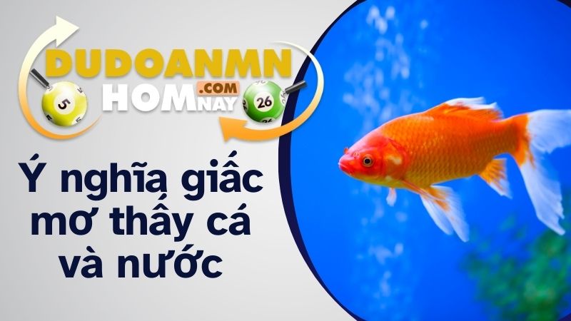 Ý nghĩa giấc mơ thấy cá và nước qua từng tình huống khác nhau